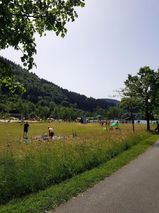 Hillesee Apartment Winterberg